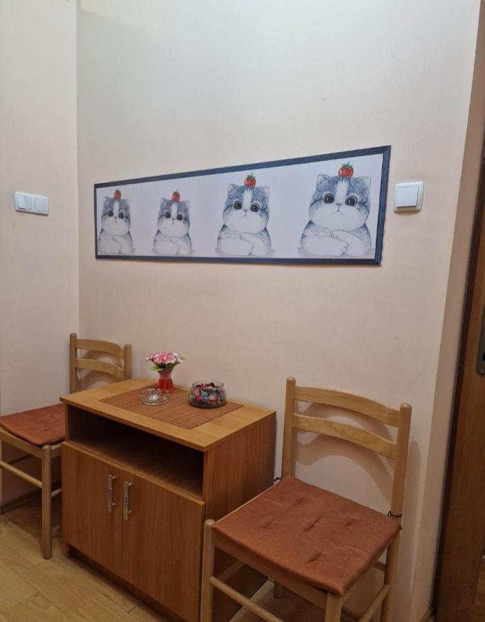 Apartament Central Traian Mosoiu , Parcare Proprie Cluj-Napoca Exterior foto