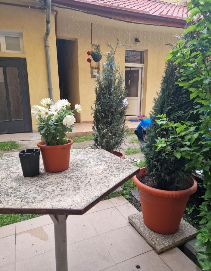 Apartament Central Traian Mosoiu , Parcare Proprie Cluj-Napoca Exterior foto